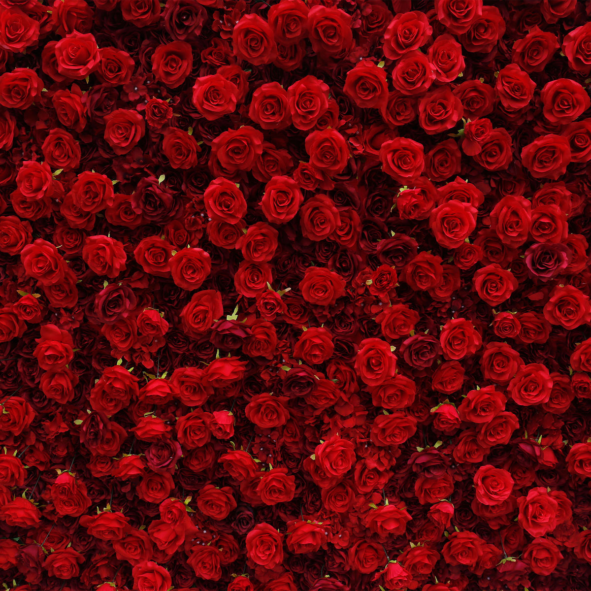 Aliflowers 5D Scarlet Red Rose Cloth Rolling Up Flower Wall ALFWL027 - Ali Flowers