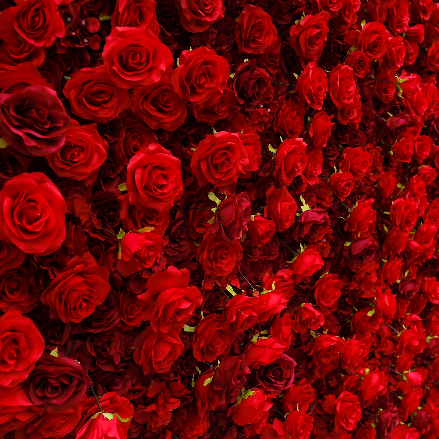 Aliflowers 5D Scarlet Red Rose Cloth Rolling Up Flower Wall ALFWL027 - Ali Flowers