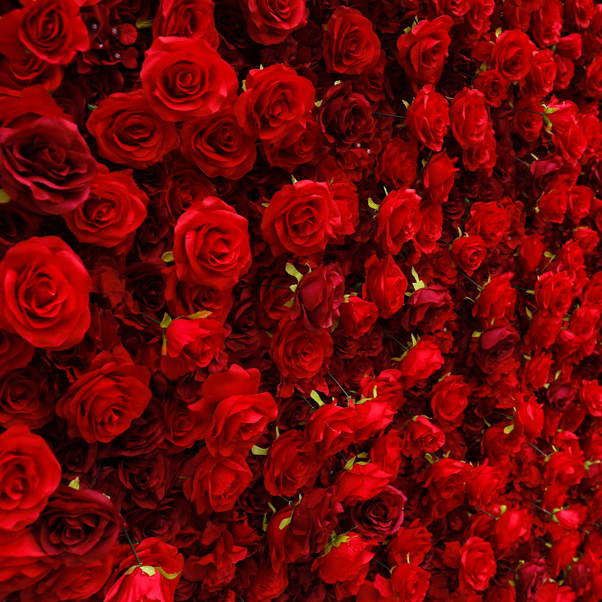 Aliflowers 5D Scarlet Red Rose Cloth Rolling Up Flower Wall ALFWL027 - Ali Flowers