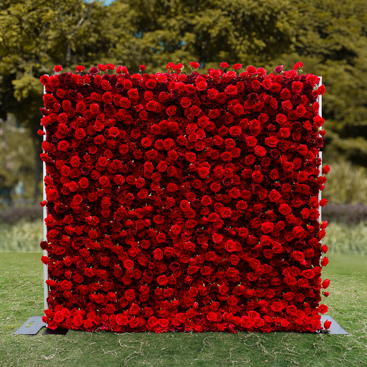 Aliflowers 5D Scarlet Red Rose Cloth Rolling Up Flower Wall ALFWL027 - Ali Flowers