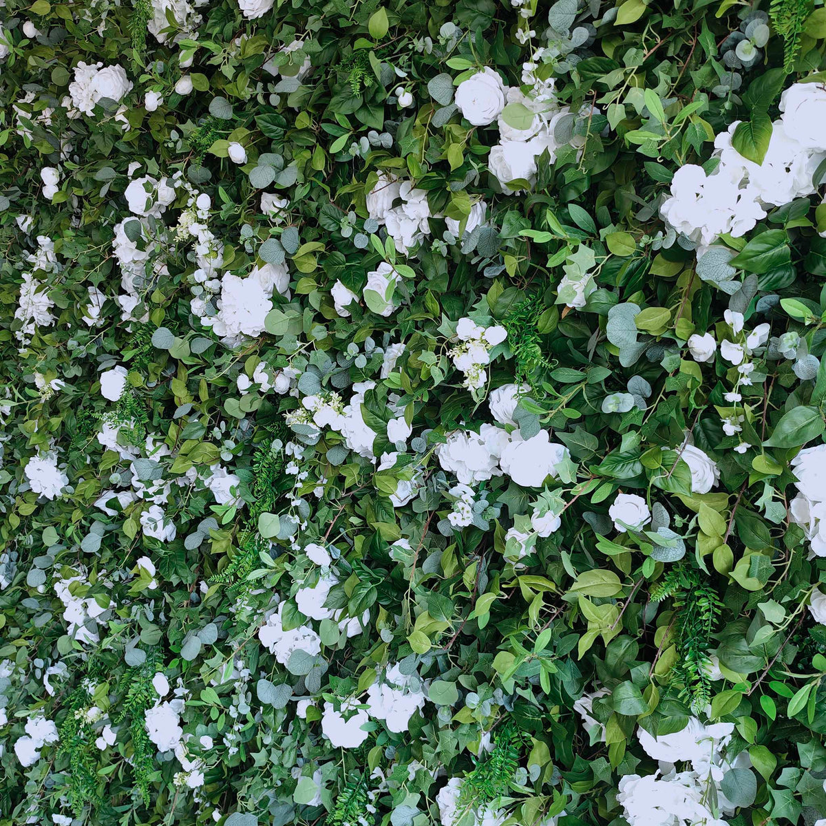 Aliflowers 3D White Rose & Green Leaf Roll-Up Flower Wall – Wedding & Party