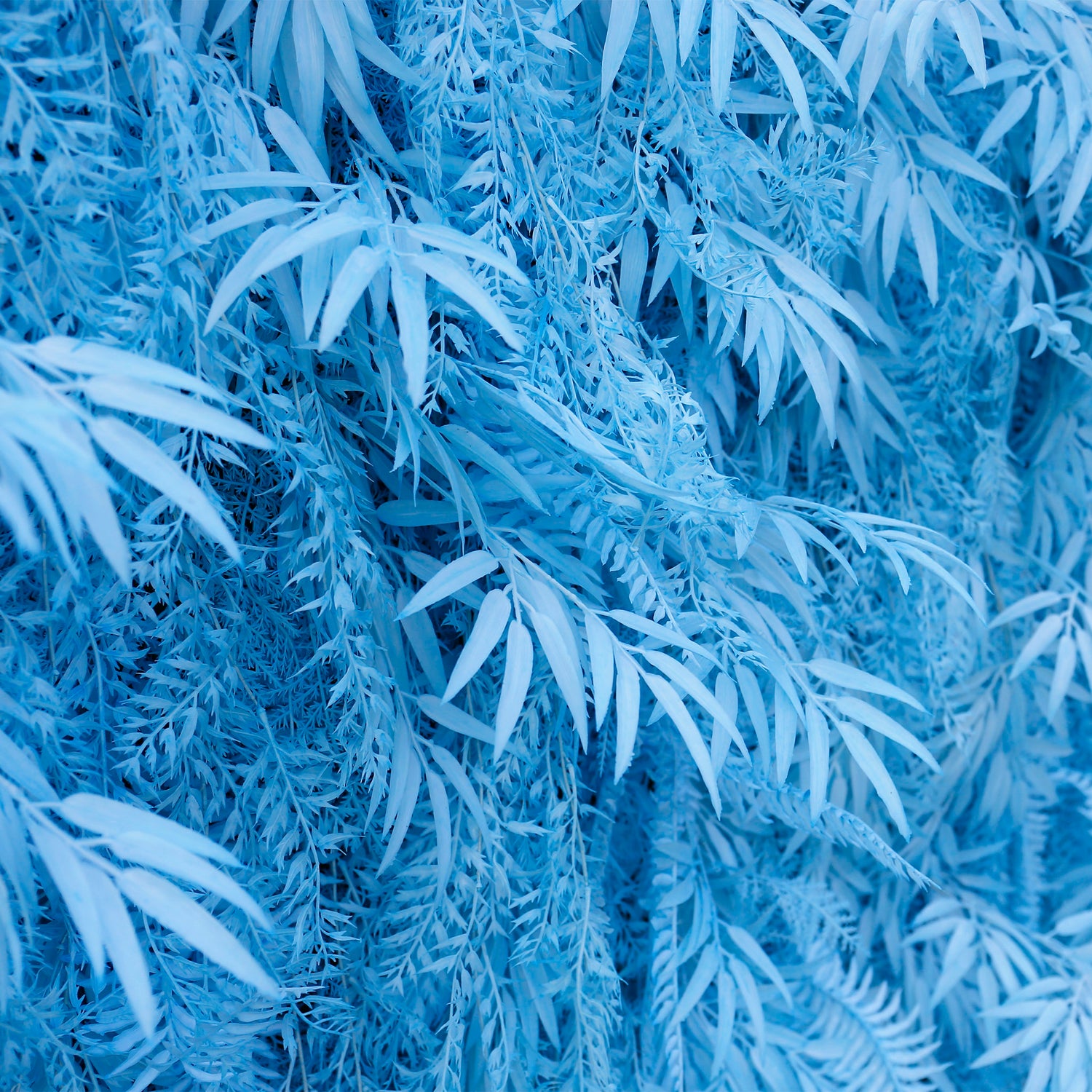 Aliflowers Blue Feathered Foliage Flower Wall for Photo Booth Backdrop ALFWL127