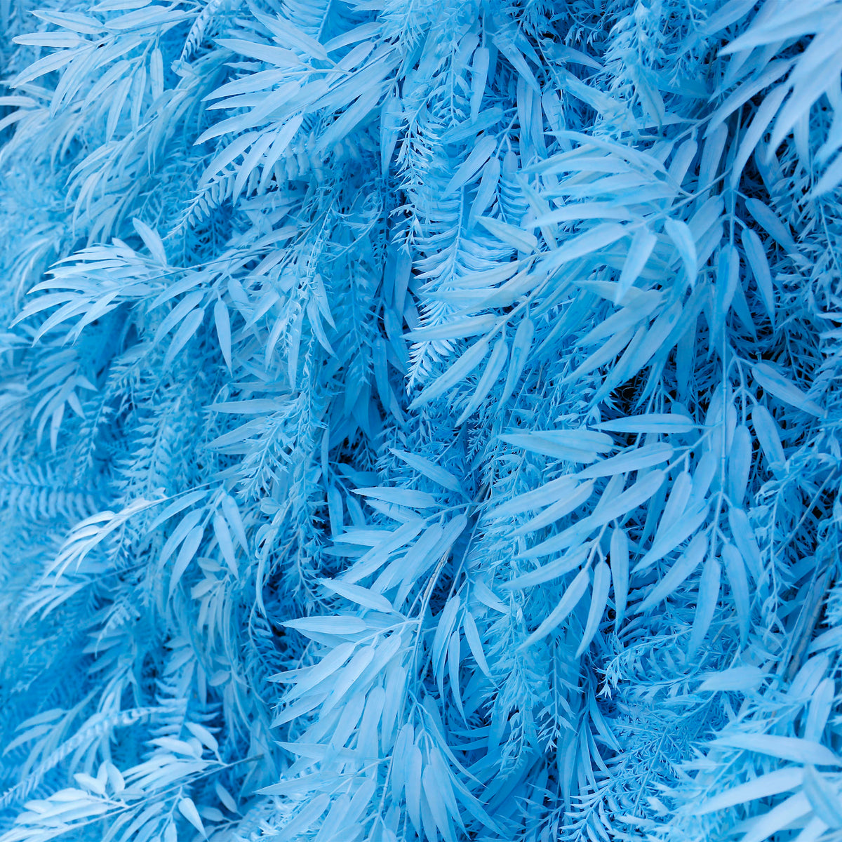 Aliflowers Blue Feathered Foliage Flower Wall for Photo Booth Backdrop ALFWL127 - Ali Flowers