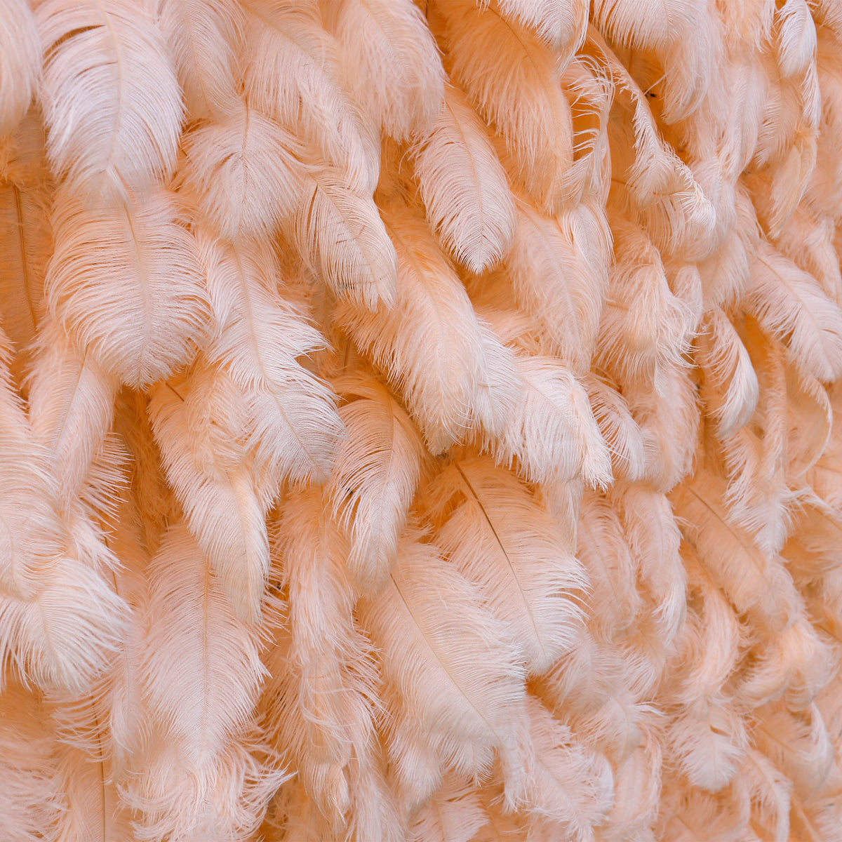 Aliflowers Luxury Peach Feather Backdrop Wall for Wedding & Party Decor ALFWL135