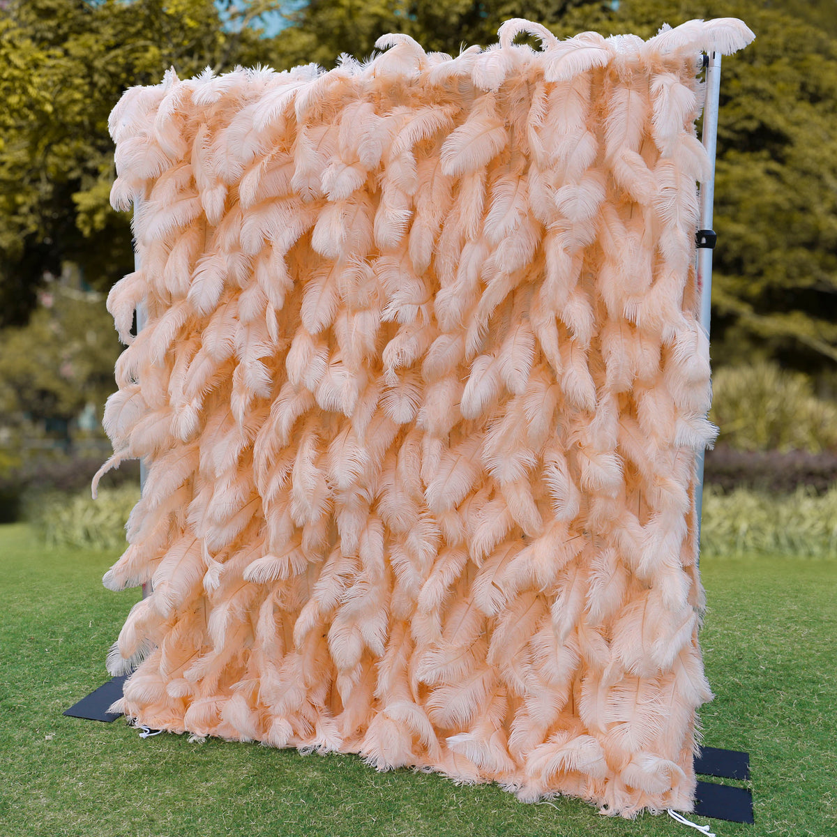 Aliflowers Luxury Peach Feather Backdrop Wall for Wedding & Party Decor ALFWL135