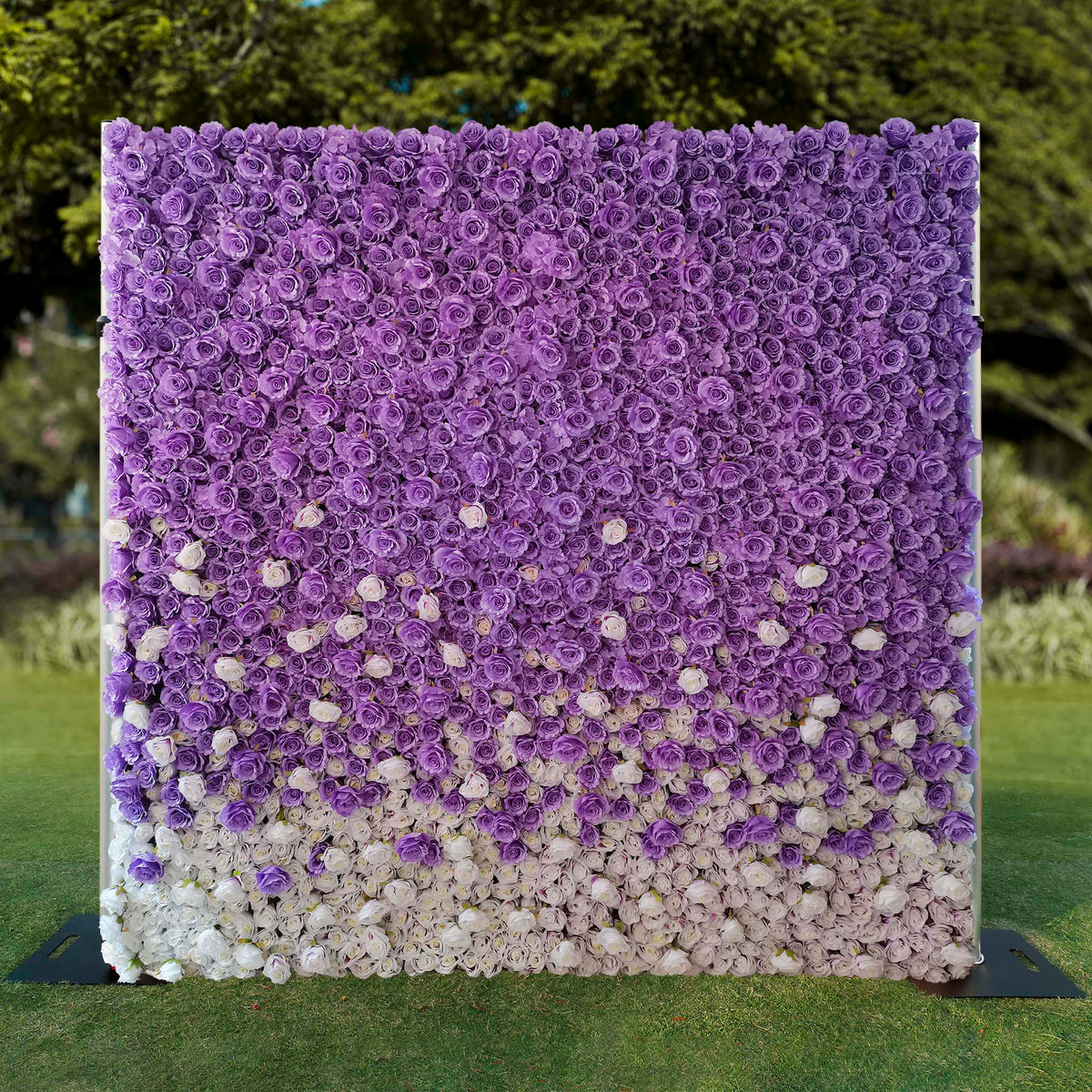 aliflowers white and purple rose curtain flower wall background for wedding events parties