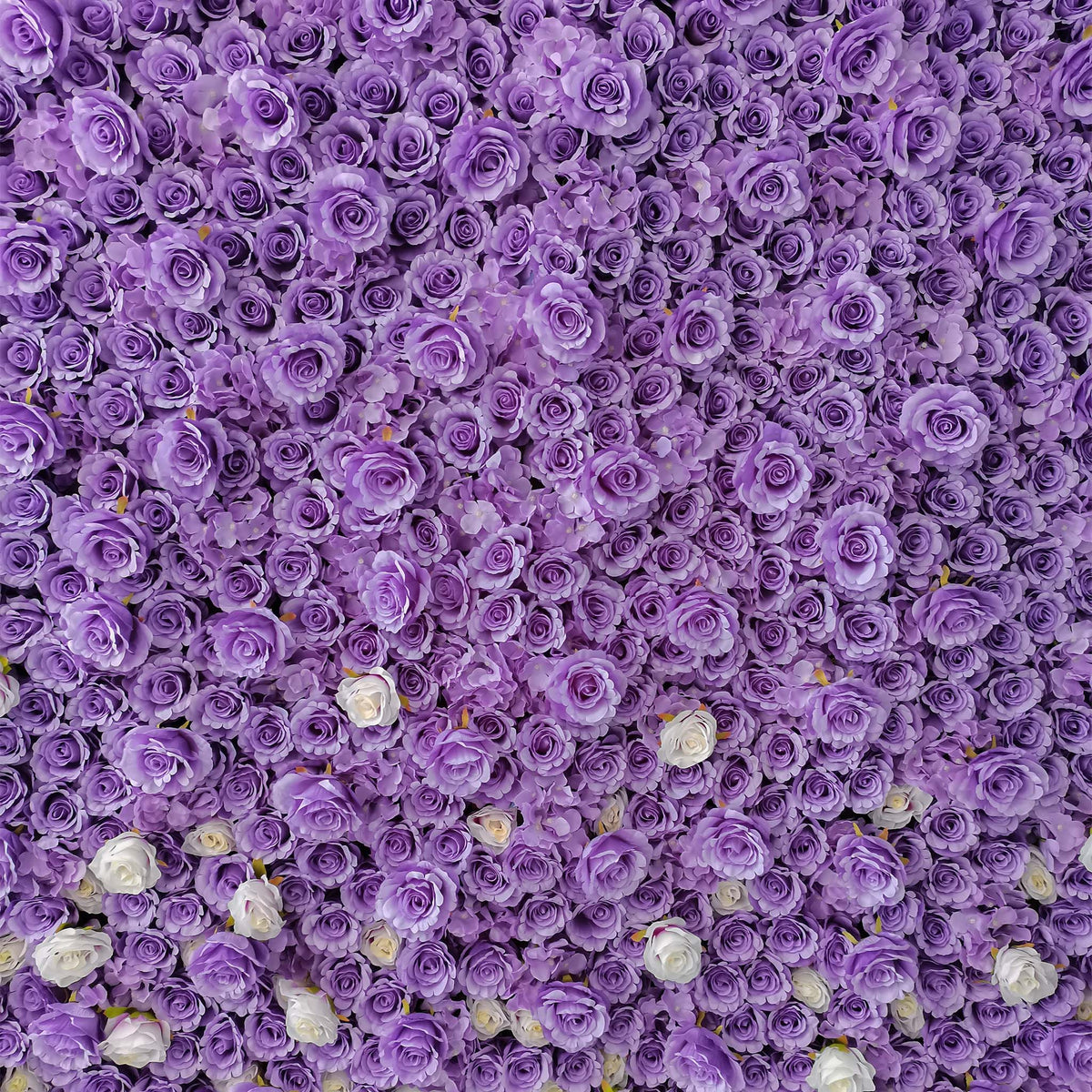 aliflowers white and purple rose curtain flower wall background for wedding events parties