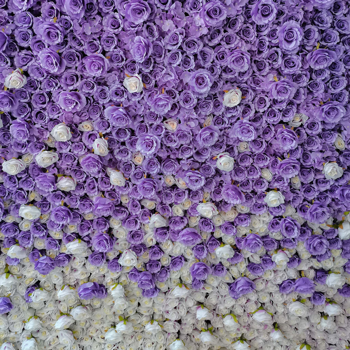 aliflowers white and purple rose curtain flower wall background for wedding events parties