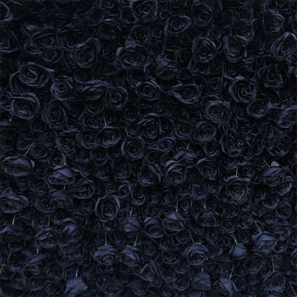 Aliflowers Black Rose Roll up Fabric Artificial Flower Wall ALFWL079 - Ali Flowers