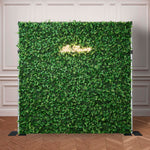 Artificial Grass Wall Backdrop ALFWL151(Australia) - Ali Flowers