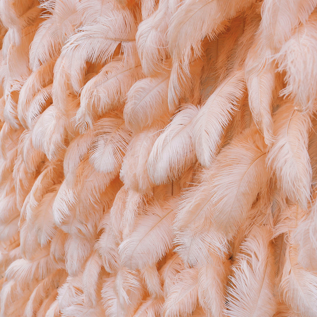 Aliflowers Luxury Peach Feather Backdrop Wall for Wedding & Party Decor ALFWL135