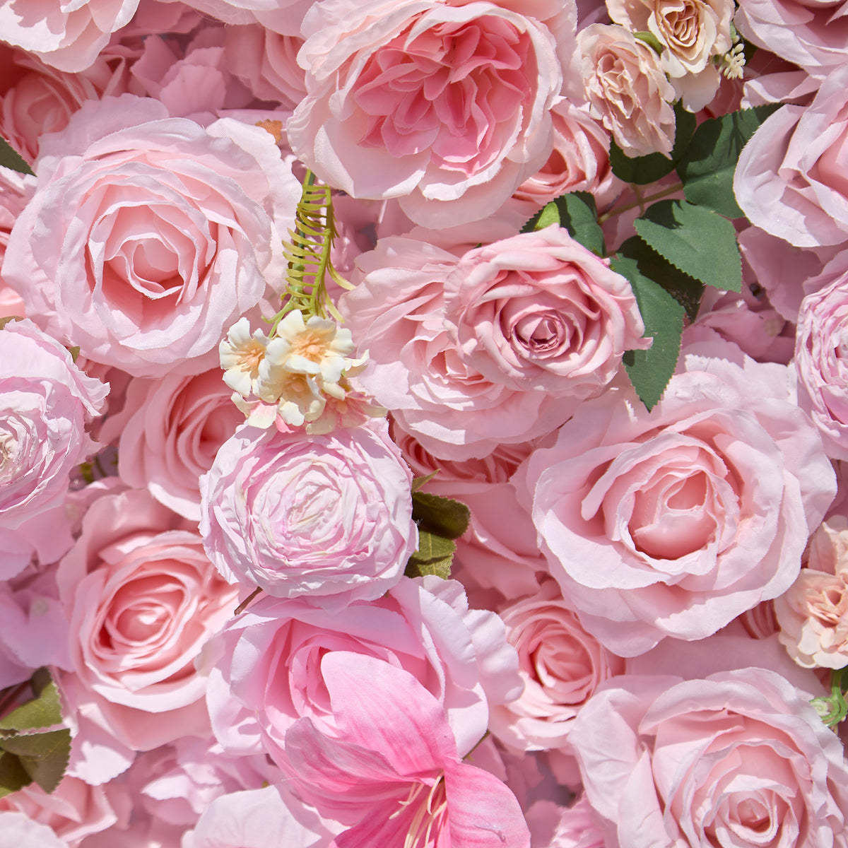 Aliflowers 5D Pink Rose Peony Roll Up Curtain Cloth Flower Wall - Ali Flowers