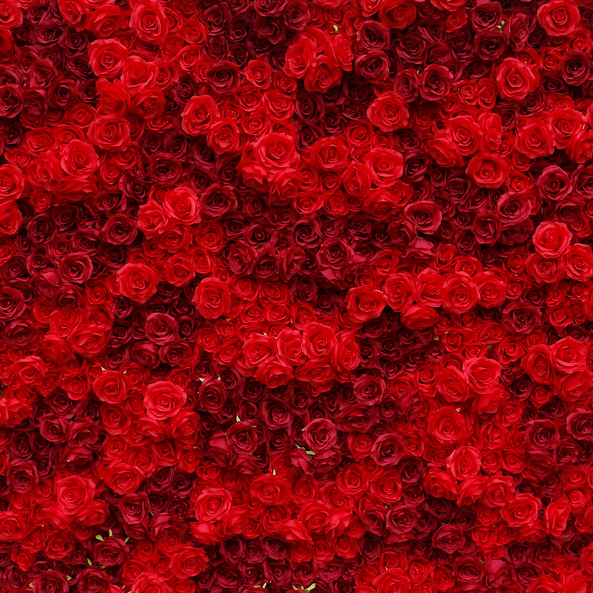 Aliflowers 3D Texture Pure Red Rose Cloth Roll Up Flowers Wall Backdrop ALFWL085 - Ali Flowers