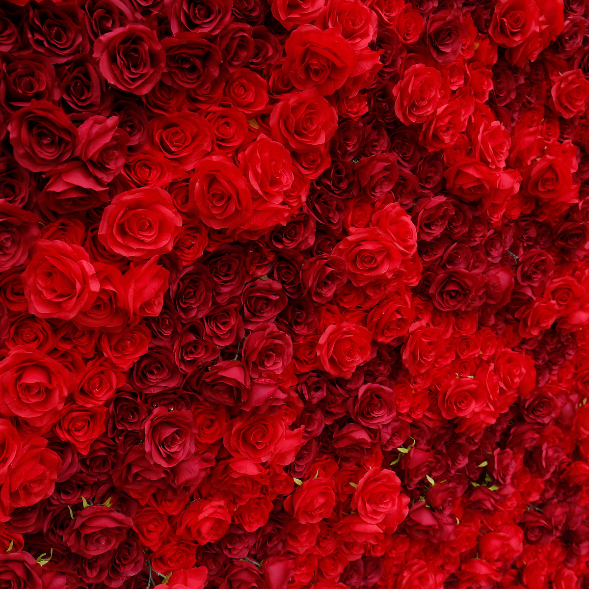 Aliflowers 3D Texture Pure Red Rose Cloth Roll Up Flowers Wall Backdrop ALFWL085 - Ali Flowers