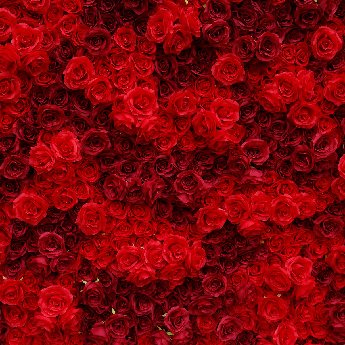 Aliflowers 3D Texture Pure Red Rose Cloth Roll Up Flowers Wall Backdrop ALFWL085 - Ali Flowers