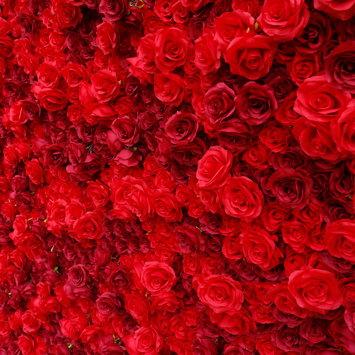 Aliflowers 3D Texture Pure Red Rose Cloth Roll Up Flowers Wall Backdrop ALFWL085 - Ali Flowers