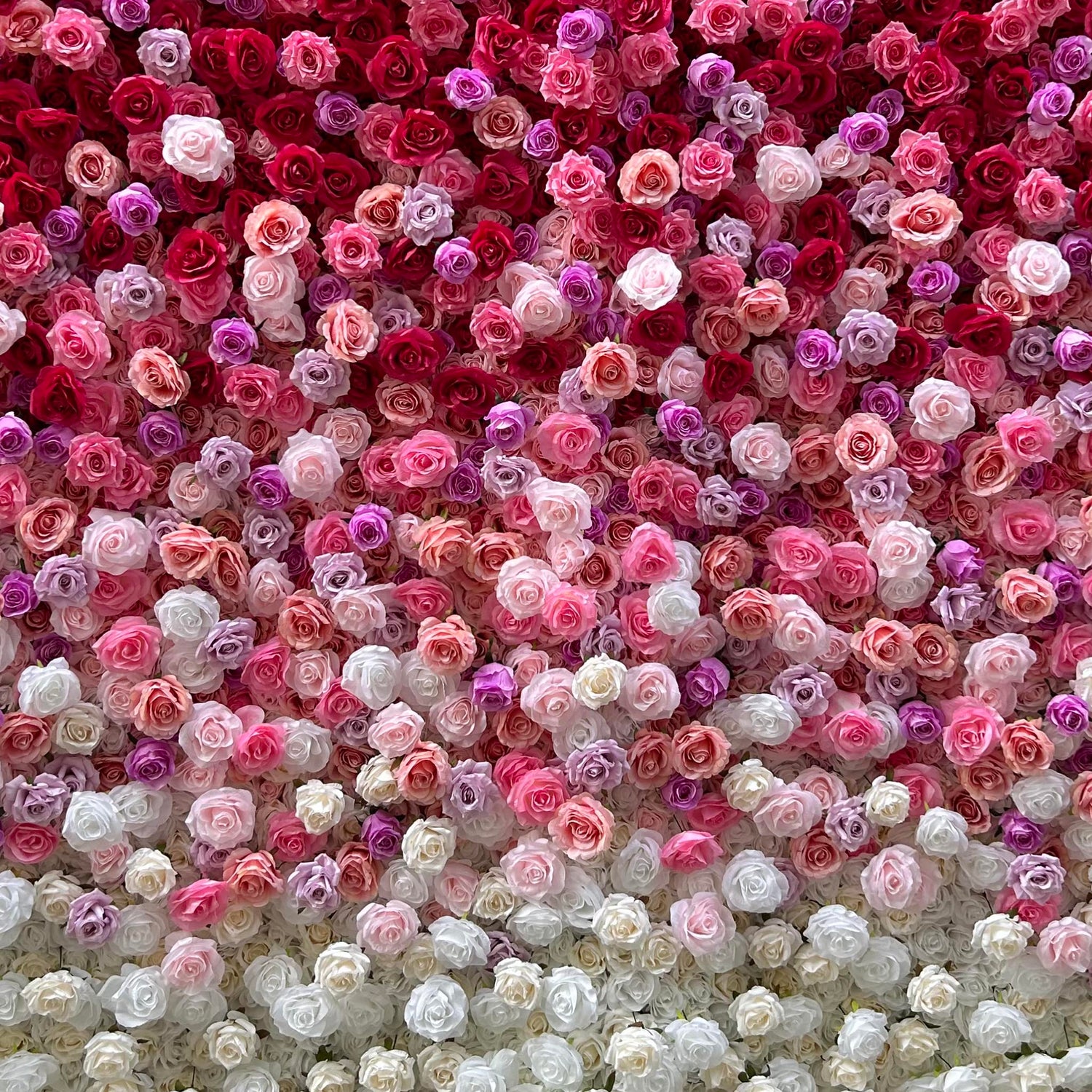 Aliflowers Gradient Rose Flower Wall for Events & Photo Booth Backdrop ALFWL115