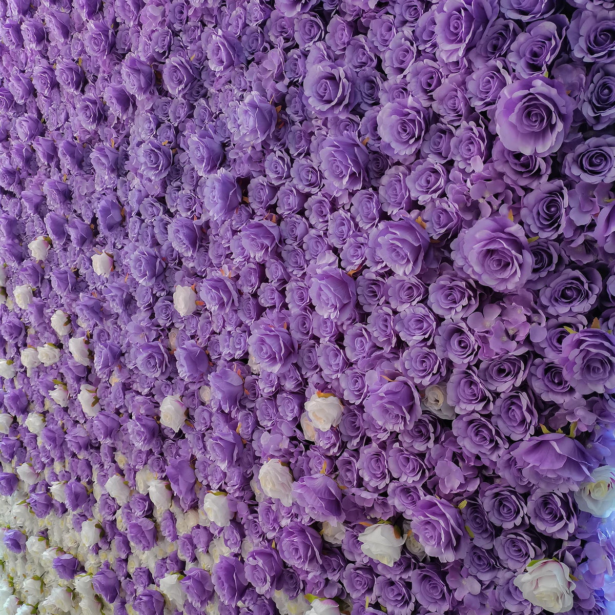 aliflowers white and purple rose curtain flower wall background for wedding events parties