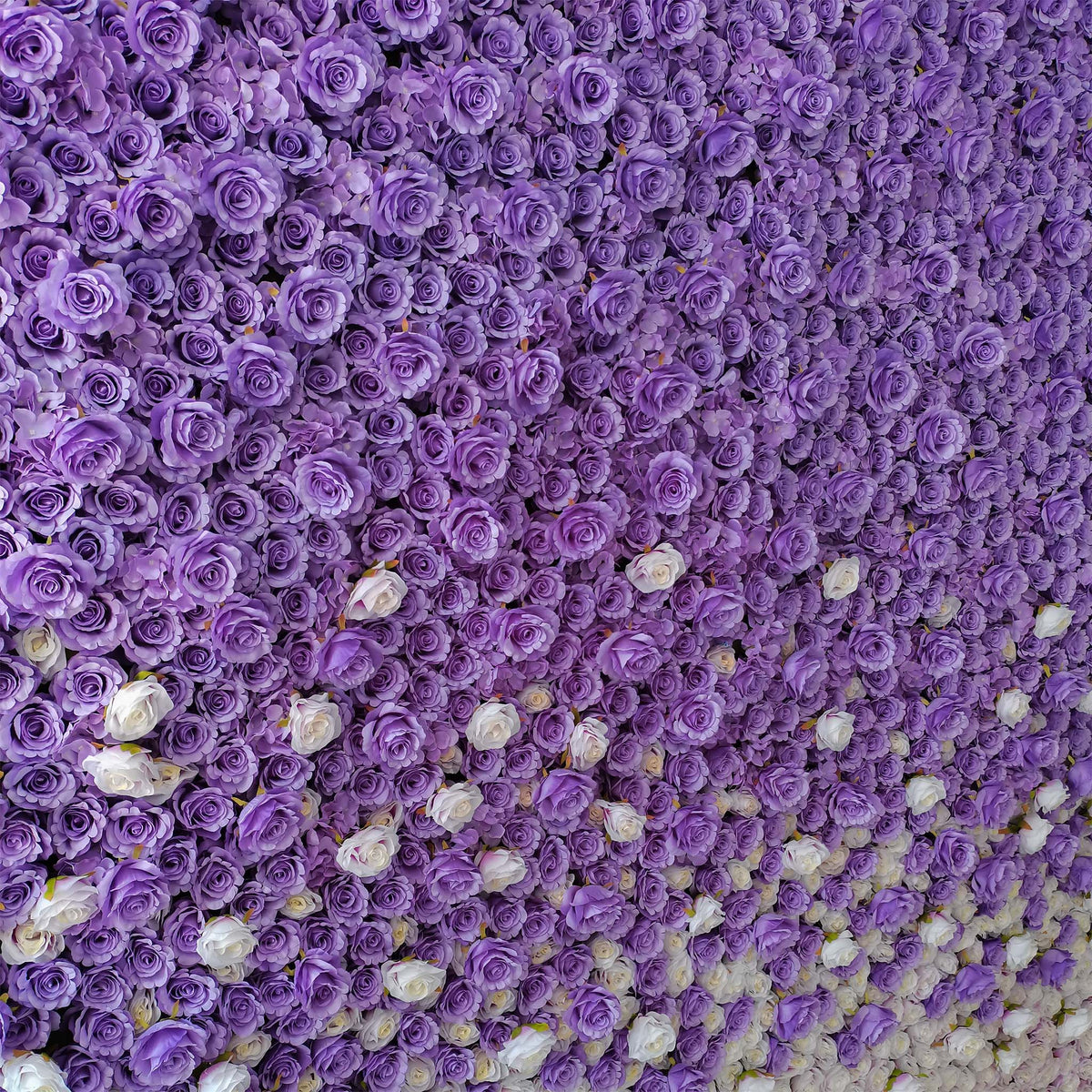 aliflowers white and purple rose curtain flower wall background for wedding events parties