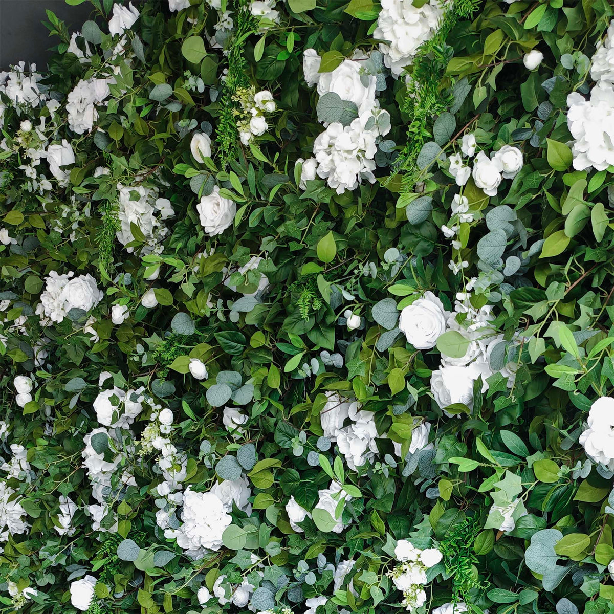 Aliflowers 3D White Rose & Green Leaf Roll-Up Flower Wall – Wedding & Party