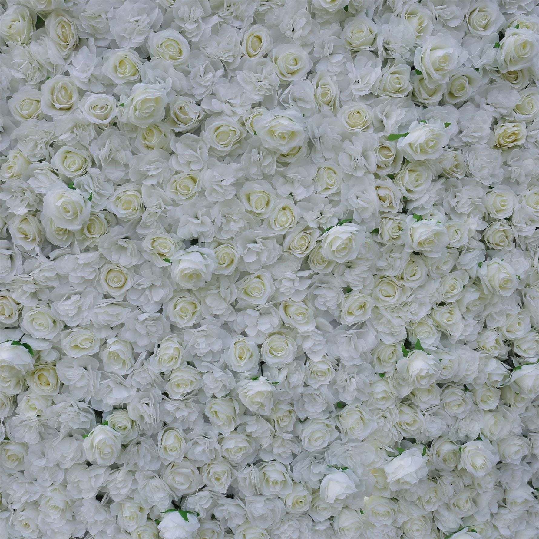 Aliflowers 3D White Pure Rose Flower Wall ALFWL056 - Ali Flowers