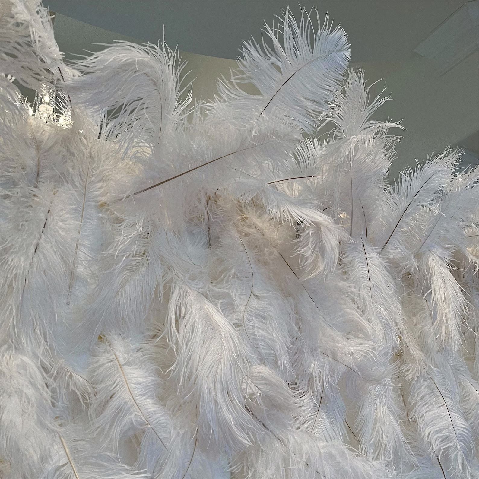 White Feather Wall Backdrop Wedding Decoration Roll Up Cloth White Ostrich Feather Wall ALFWL008 - Ali Flowers