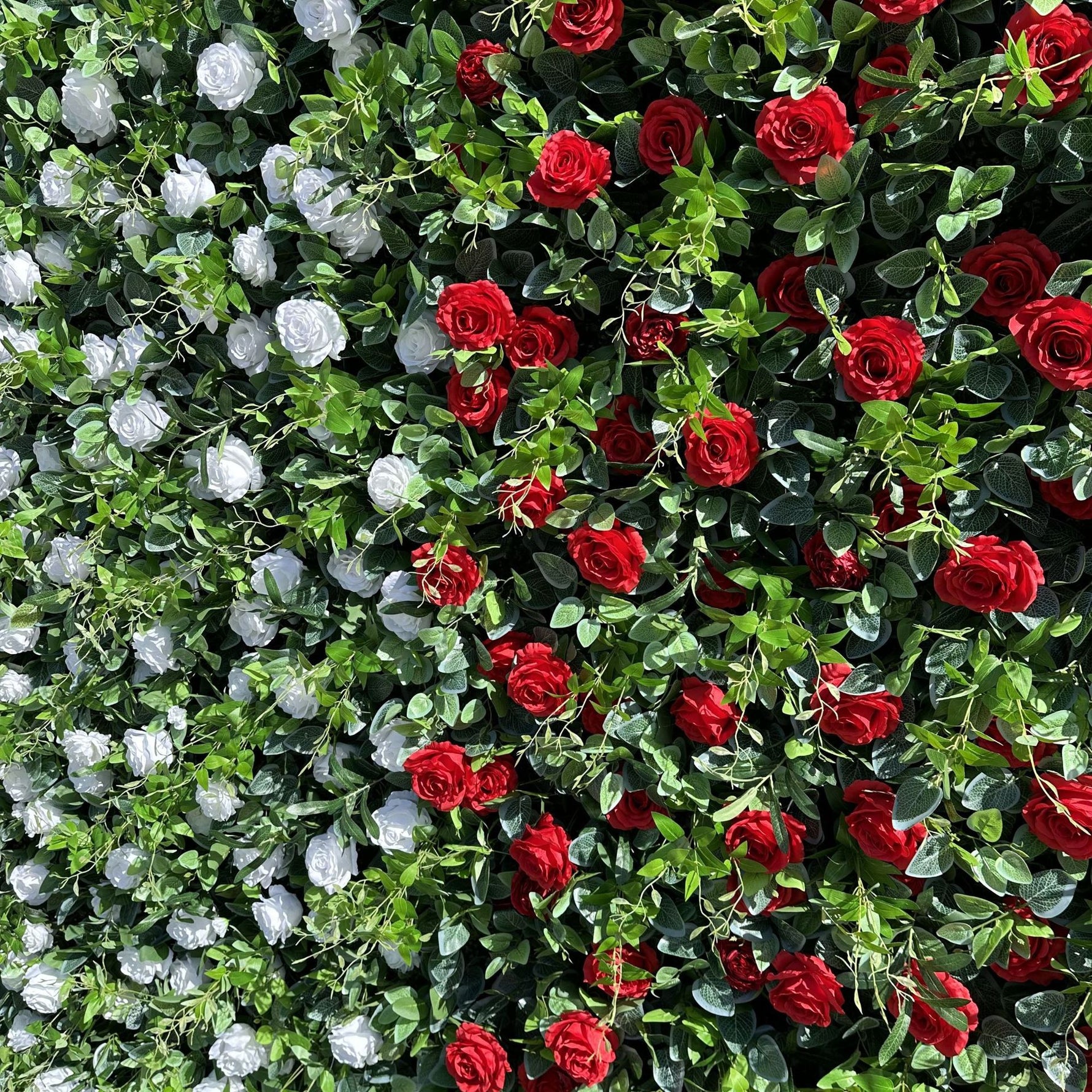 Aliflowers 3D White And Red Rose Flower Wall Backdrop for Weddings & Events ALFWL198