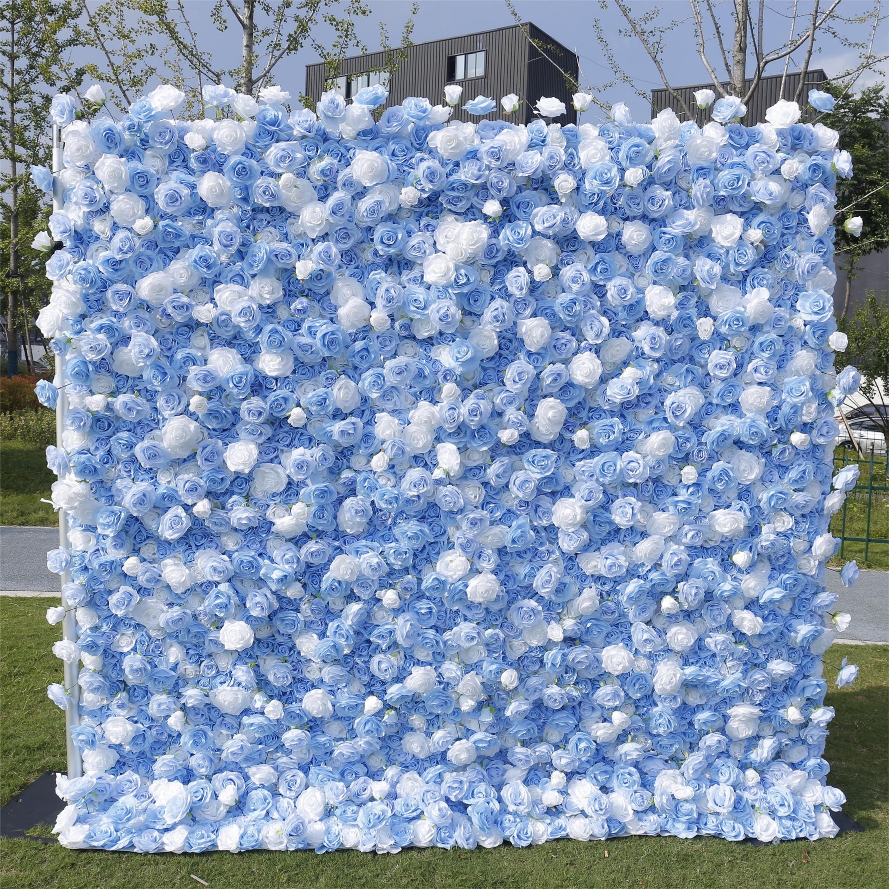 Aliflowers 5D Sky Blue with White Rose Roll Up Flower Wall Curtain Event Party Wedding Backdrop Decor ALFWL035 - Ali Flowers