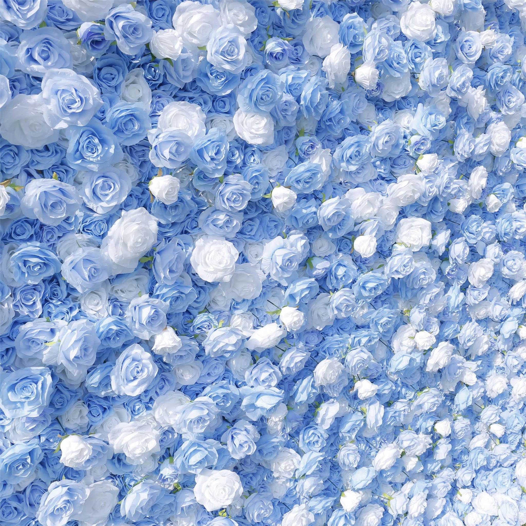 Aliflowers 5D Sky Blue with White Rose Roll Up Flower Wall Curtain Event Party Wedding Backdrop Decor ALFWL035 - Ali Flowers