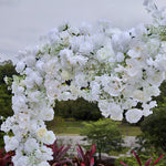 Aliflowers 5D White Rose with Phalaenopsis Orchid Dancing flowers For Wedding Backdrop Arch Frame ALFAH005