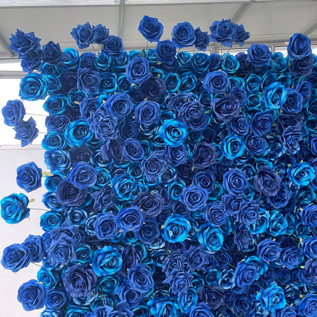 Aliflowers 5D Blue Rose Flower Fabric Backdrop Decoration Party Props ALFWL195