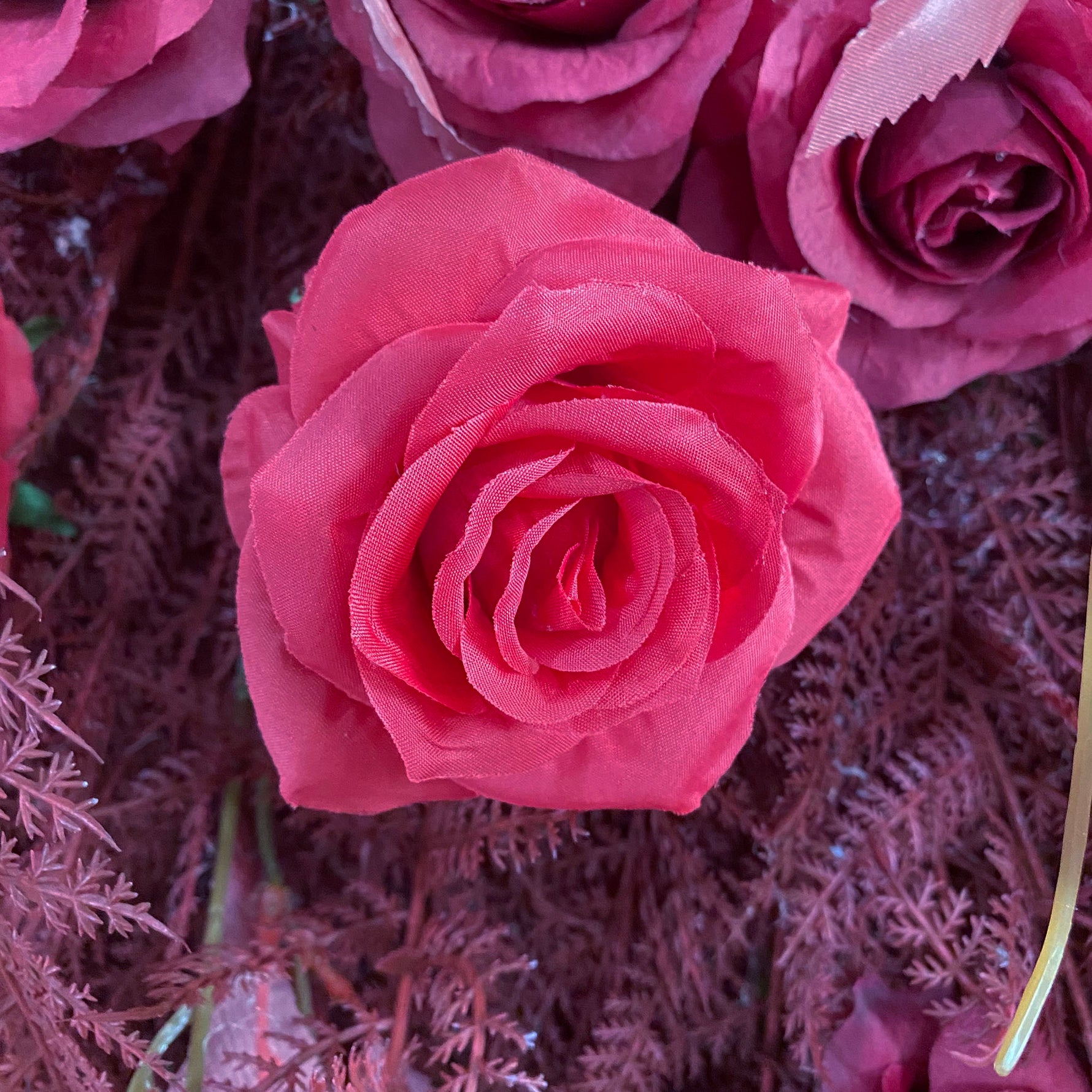 Aliflowers 5D Deep Red Permafrost Rose Wall Roller Fabric Wedding Backdrop ALFWL190