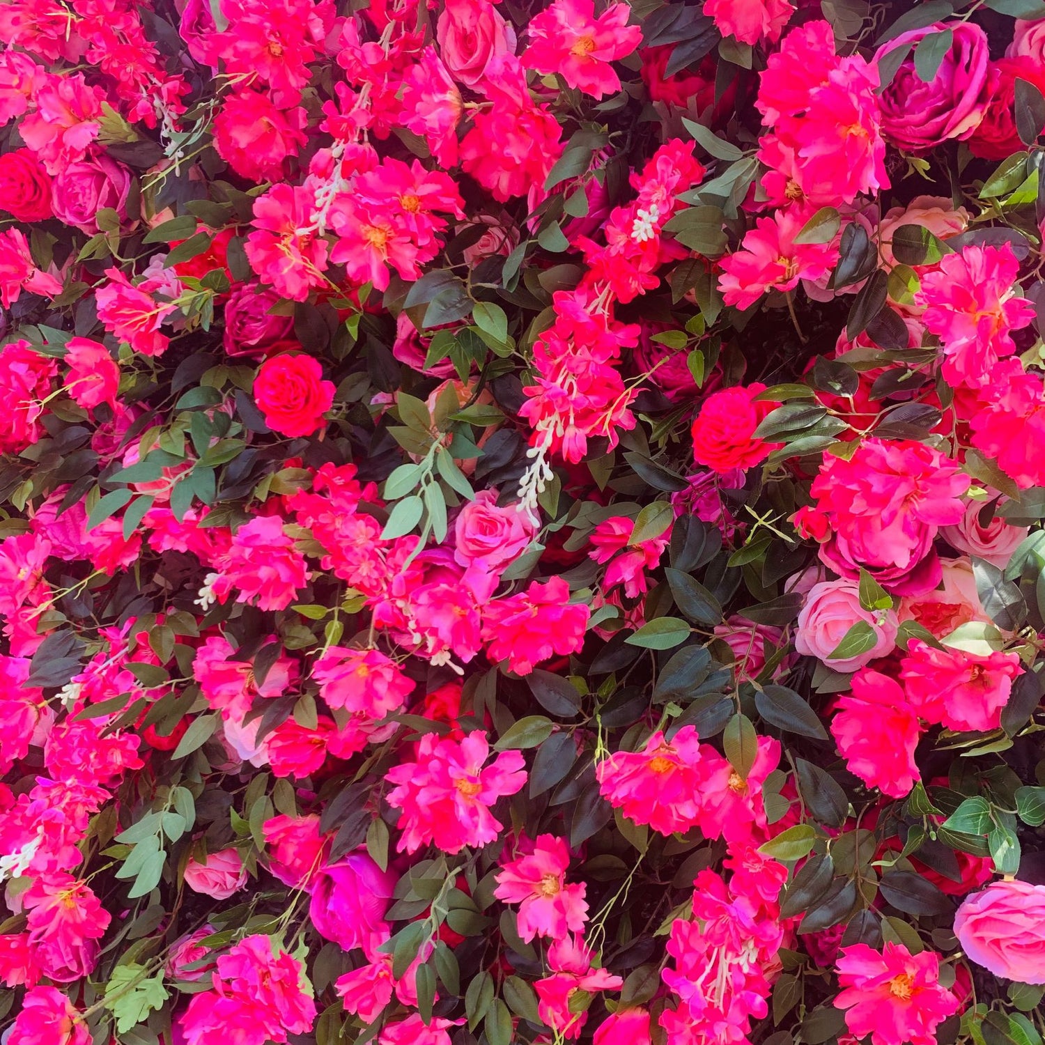 Aliflowers 5D Pink Rose And Green Leaf Floral Roller Blind Flower Wall Decoration ALFWL194