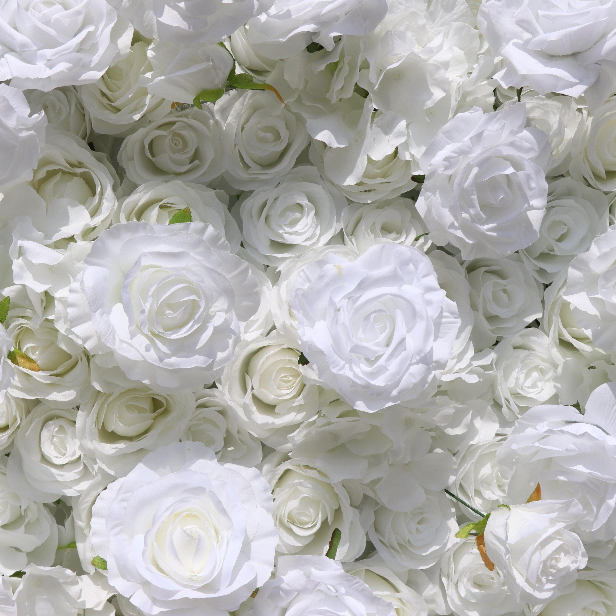 Aliflowers White Rose Hydrangea 5D Rolling Up Flower Wall Wedding
