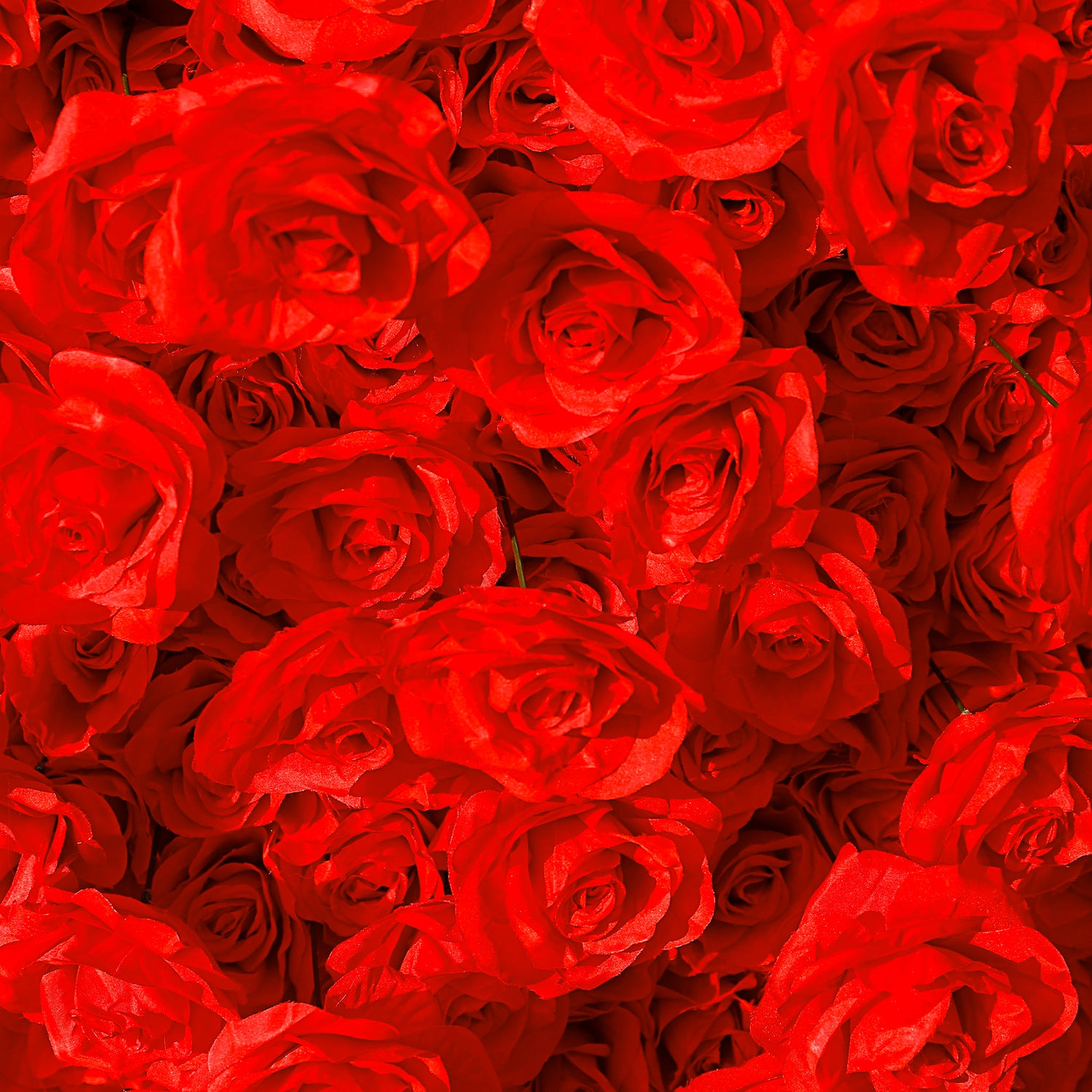 Aliflowers 5D Red Rose Fabric Floral Arch Backdrop for Wedding & Party Decoration GM009