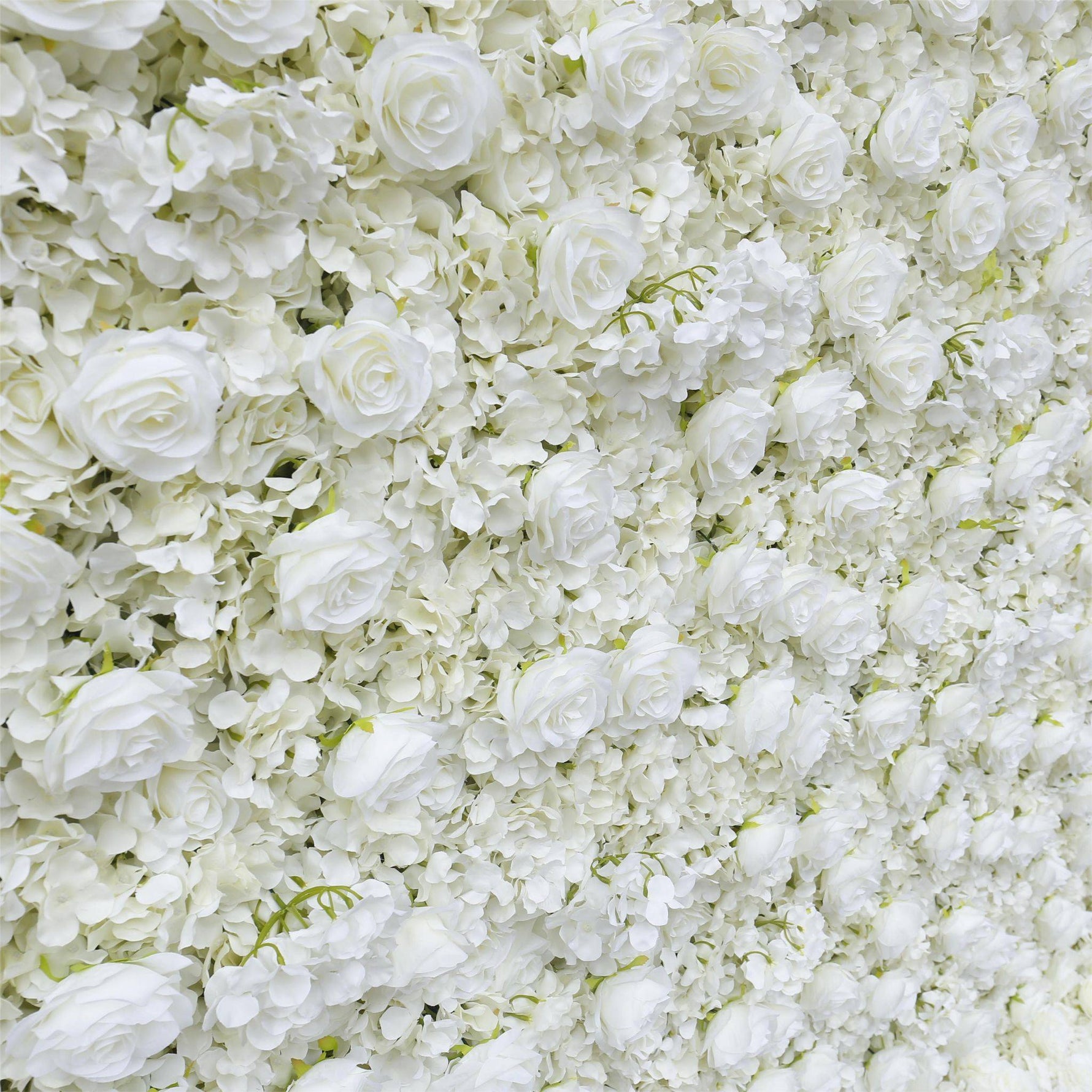 Aliflowers Cream Rose Roll Up Fabric Artificial Flower Wall for Sale ALFWL065 - Ali Flowers