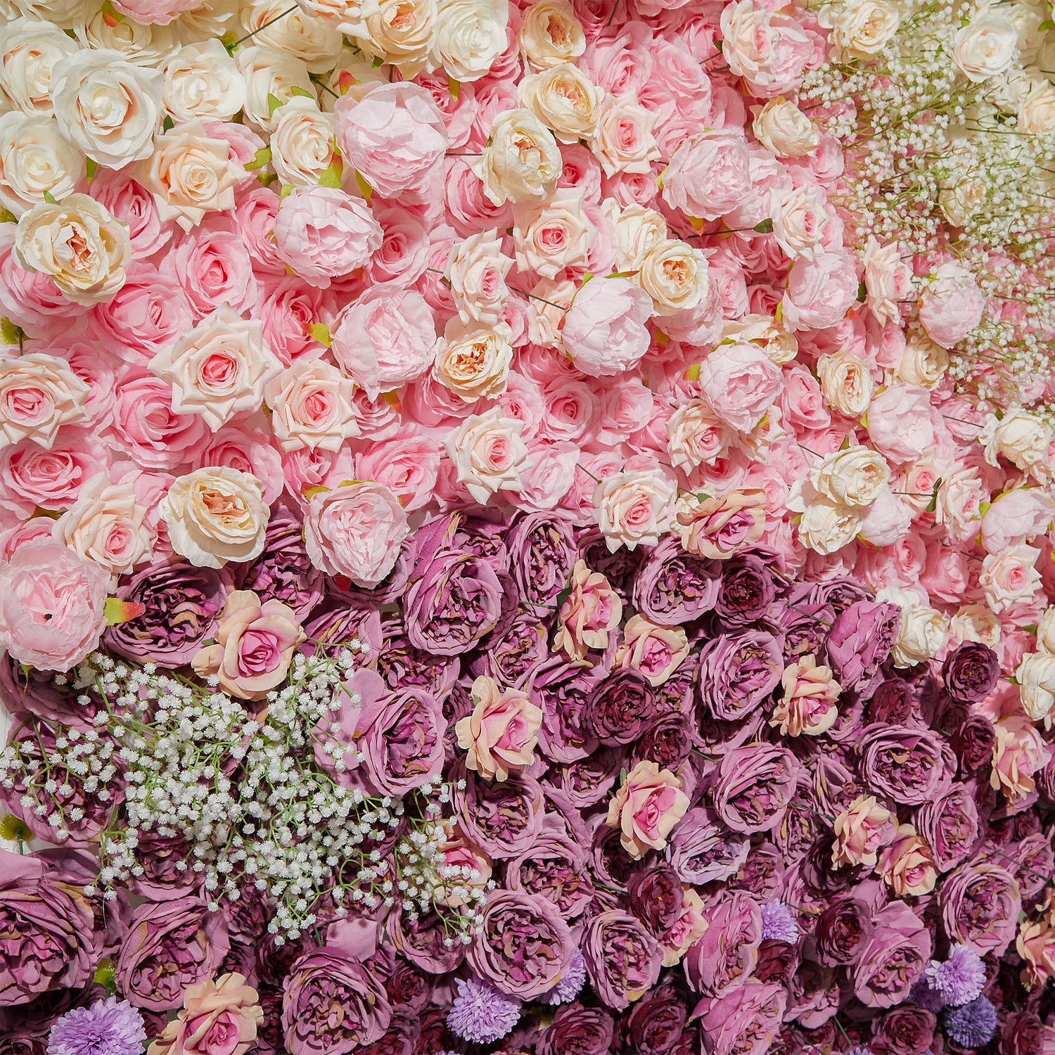 Gradient Colorful Rose & Hydrangea 5D Flower Wall with Babysbreath ALFWL150