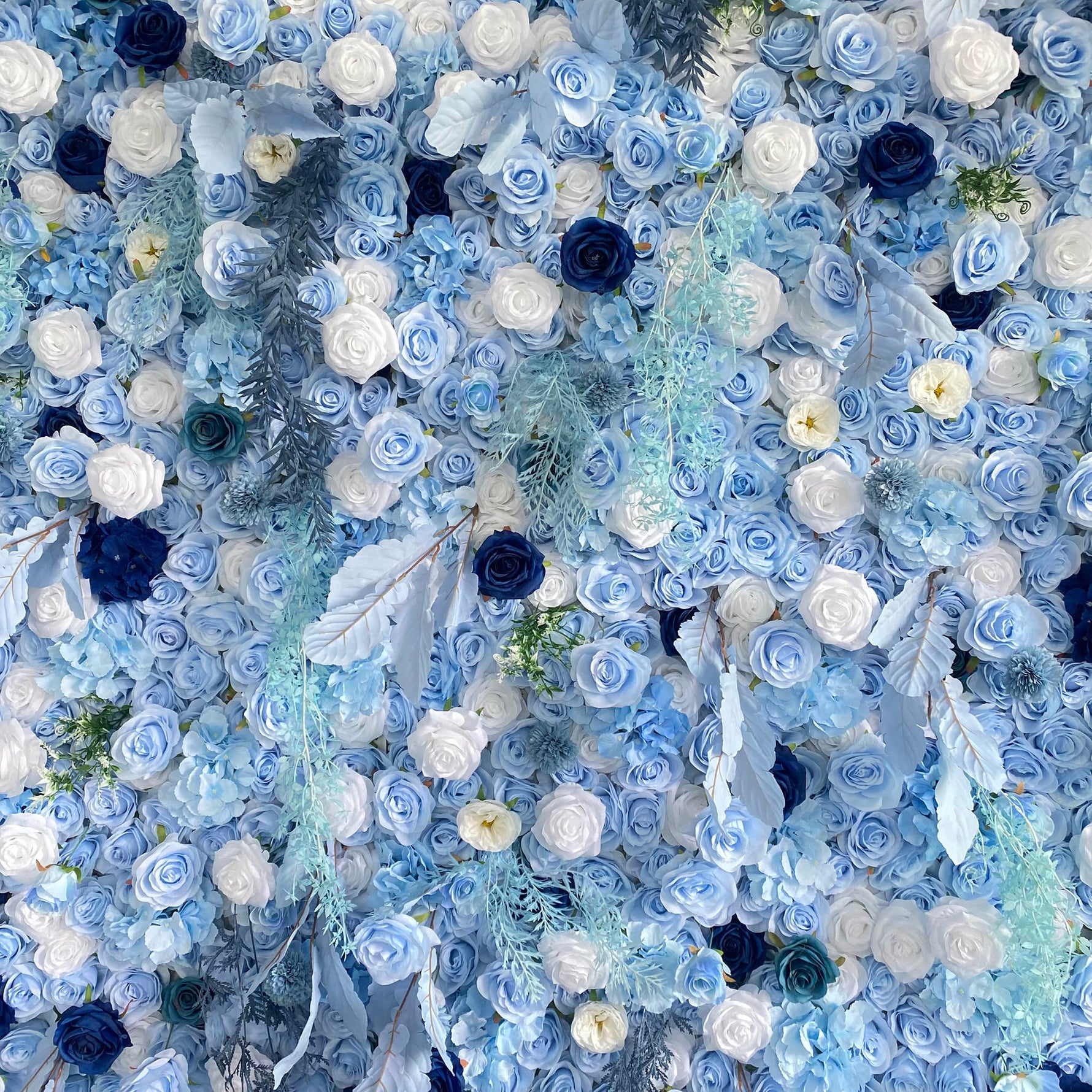 Aliflowers LIght Blue White Rose Roll Up Silk Flower Wall Backdrop for Wedding Decoration