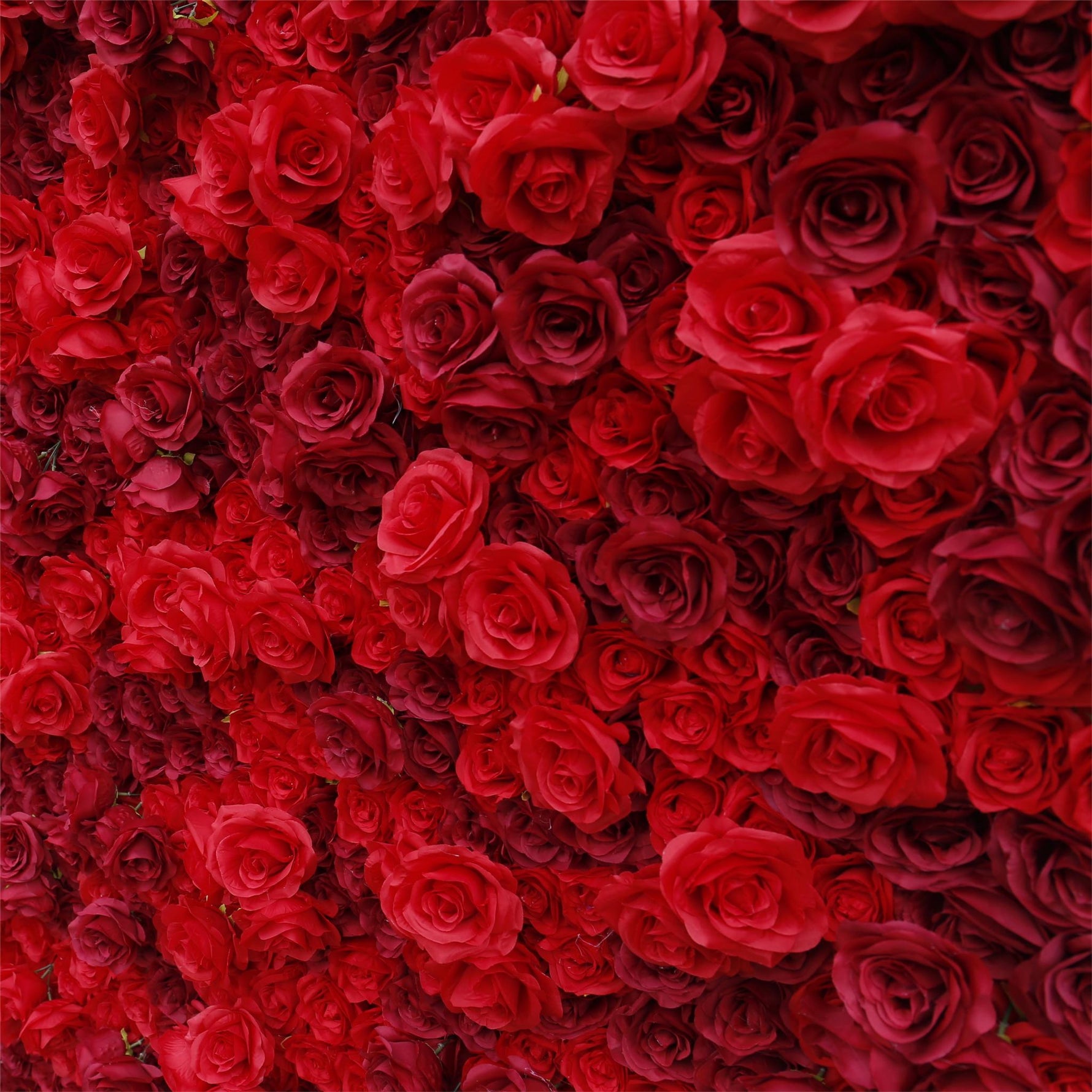 Aliflowers 3D Texture Pure Red Rose Cloth Roll Up Flowers Wall Backdrop ALFWL085 - Ali Flowers