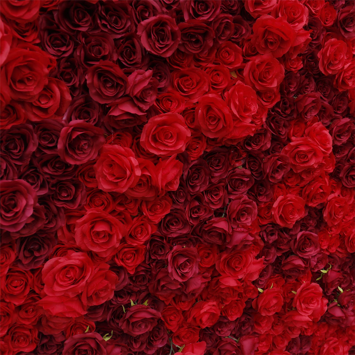 Aliflowers 3D Texture Pure Red Rose Cloth Roll Up Flowers Wall Backdrop ALFWL085 - Ali Flowers