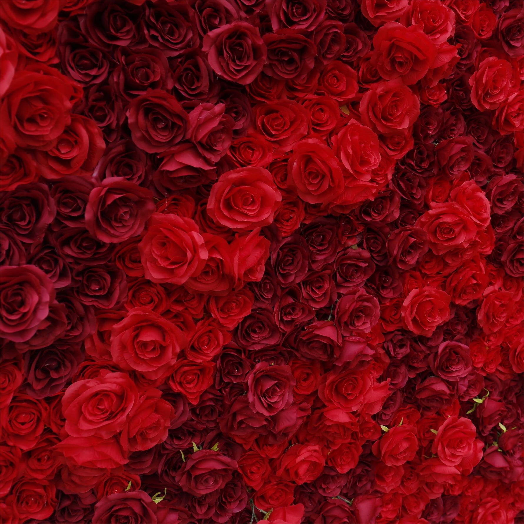 Aliflowers 3D Texture Pure Red Rose Cloth Roll Up Flowers Wall Backdrop ALFWL085 - Ali Flowers