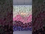 Gradient Colorful Rose & Hydrangea 5D Flower Wall with Babysbreath