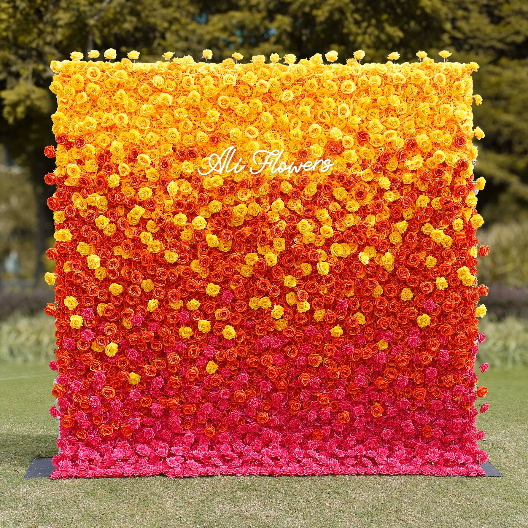 Aliflowers 5D Gradient Rose Orange to Red Sunset Flower Walls ALFWL121 - Ali Flowers